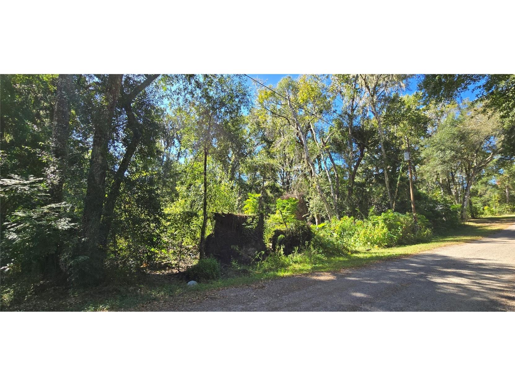 Foreside Avenue Brooksville FL 34601 W7880203 image3