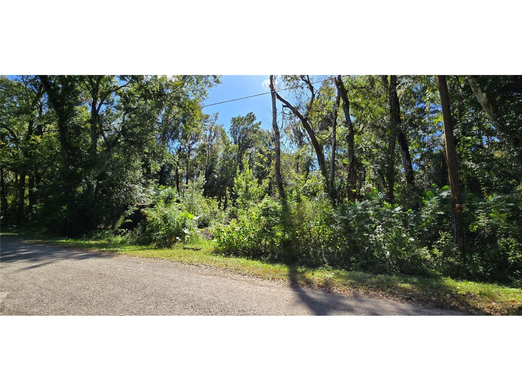 Foreside Avenue Brooksville FL 34601 W7880203 image4