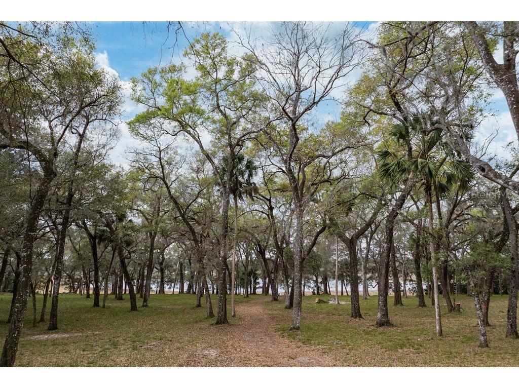 Forest 02 Road Umatilla FL 32784 - NICATOON G5109487 image11