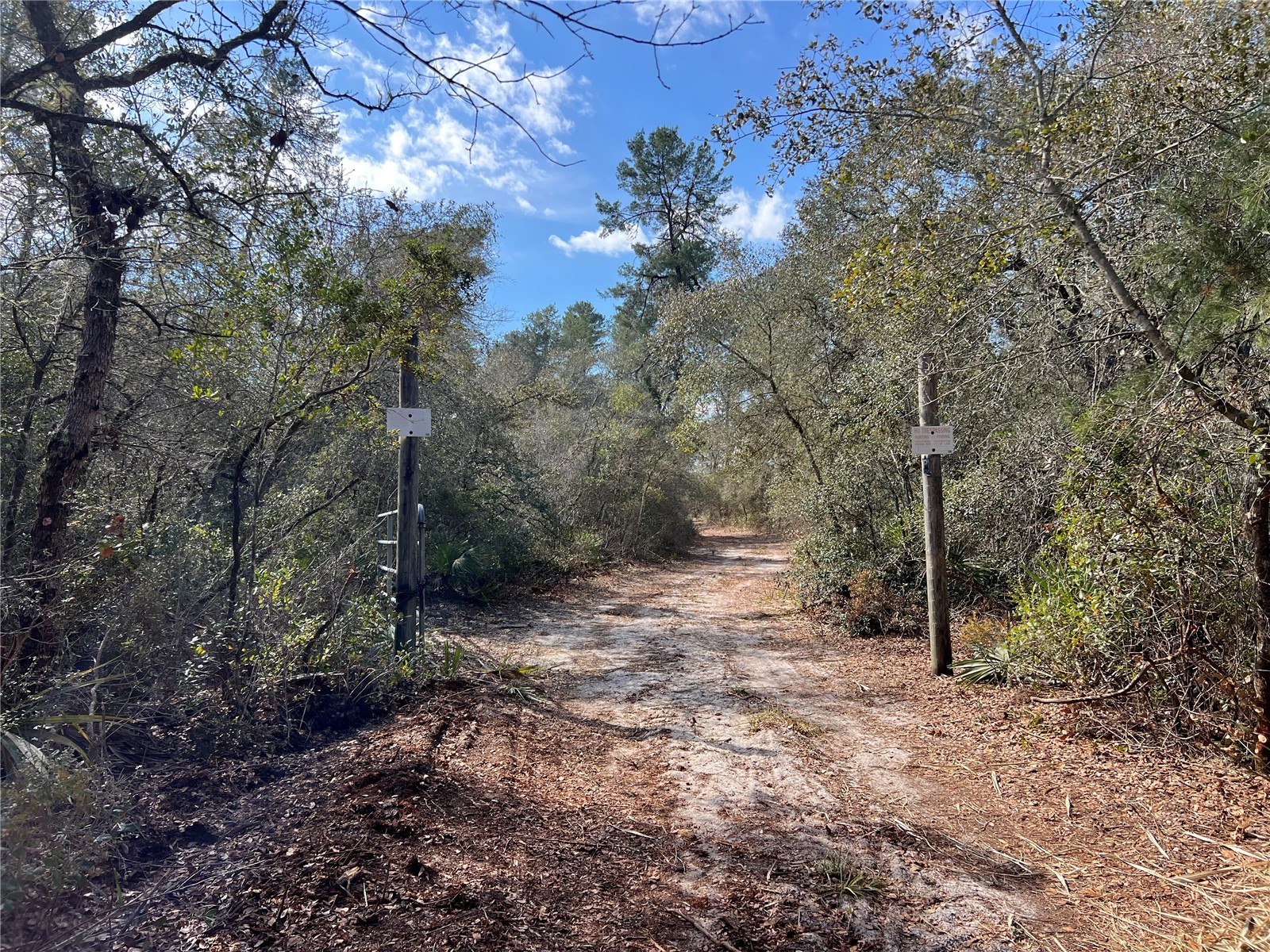 Forest 02 Road Umatilla FL 32784 - NICATOON G5109487 image14