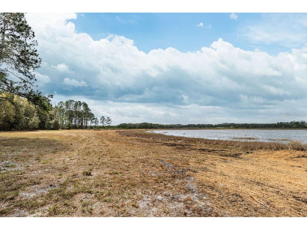 Forest 02 Road Umatilla FL 32784 - NICATOON G5109487 image15