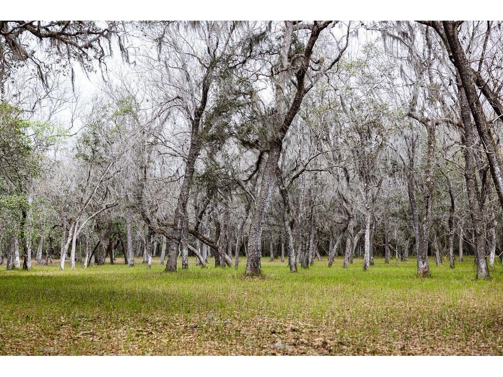 Forest 02 Road Umatilla FL 32784 - NICATOON G5109487 image21