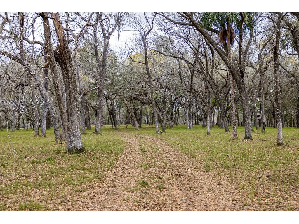 Forest 02 Road Umatilla FL 32784 - NICATOON G5109487 image22