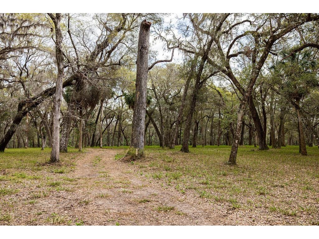 Forest 02 Road Umatilla FL 32784 - NICATOON G5109487 image23