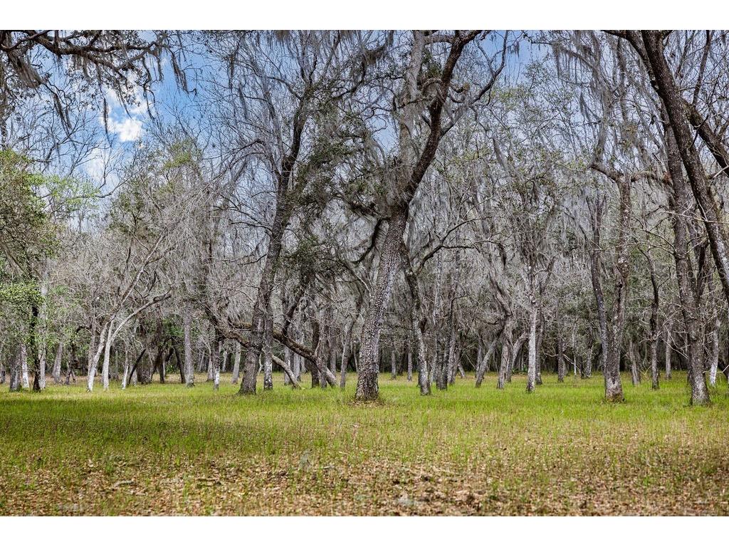 Forest 02 Road Umatilla FL 32784 - NICATOON G5109487 image25