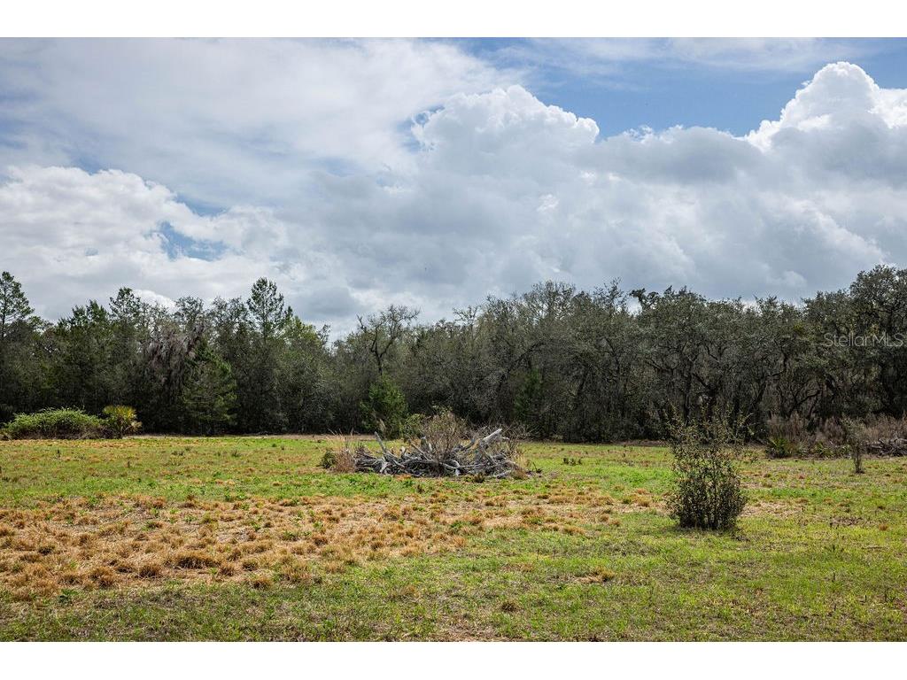 Forest 02 Road Umatilla FL 32784 - NICATOON G5109487 image29