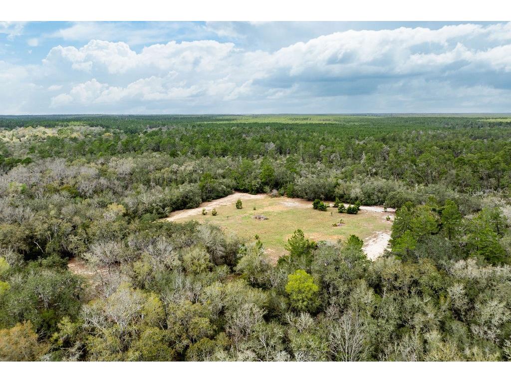 Forest 02 Road Umatilla FL 32784 - NICATOON G5109487 image30