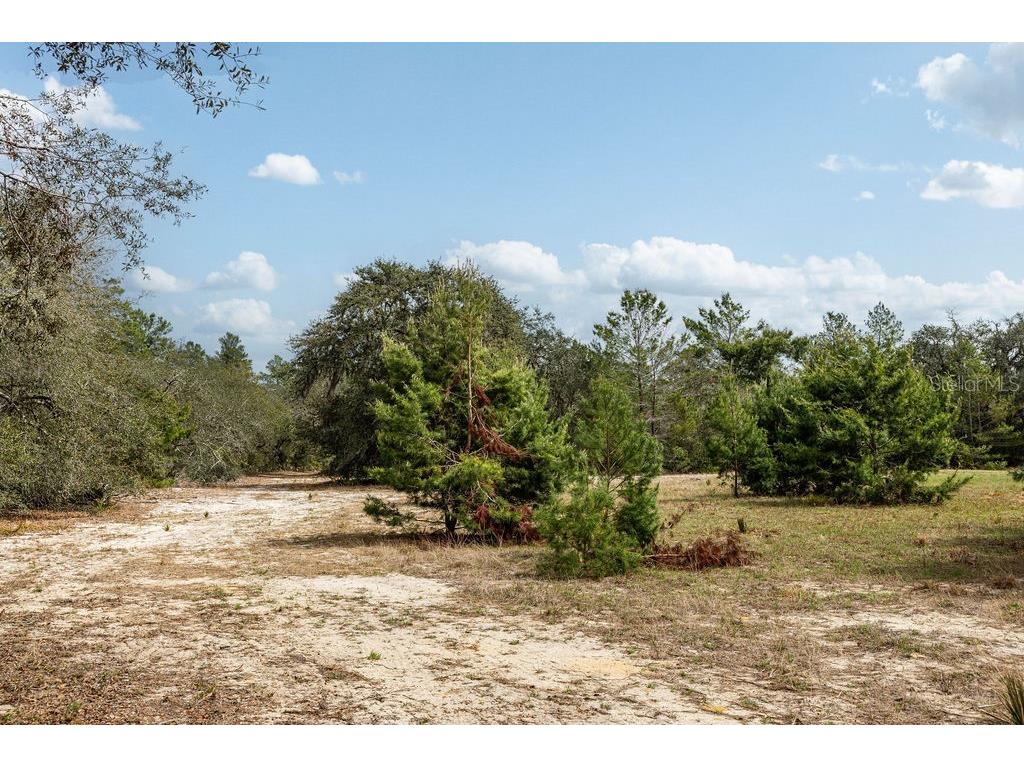 Forest 02 Road Umatilla FL 32784 - NICATOON G5109487 image31