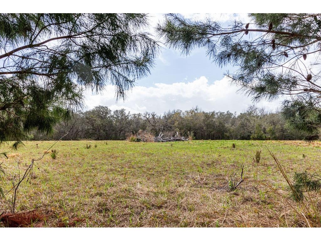 Forest 02 Road Umatilla FL 32784 - NICATOON G5109487 image33