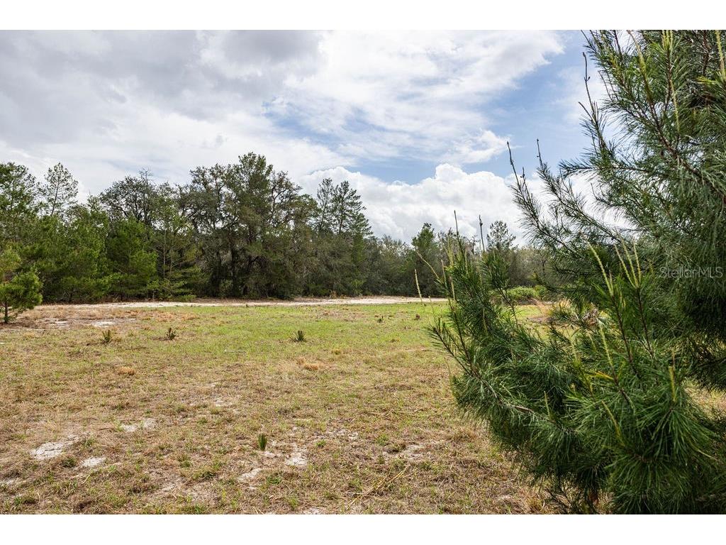 Forest 02 Road Umatilla FL 32784 - NICATOON G5109487 image34