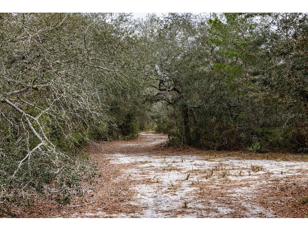 Forest 02 Road Umatilla FL 32784 - NICATOON G5109487 image35
