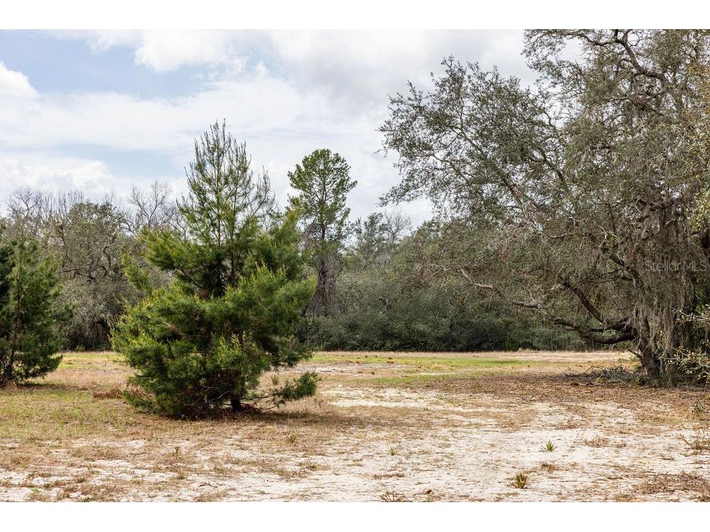 Forest 02 Road Umatilla FL 32784 - NICATOON G5109487 image36