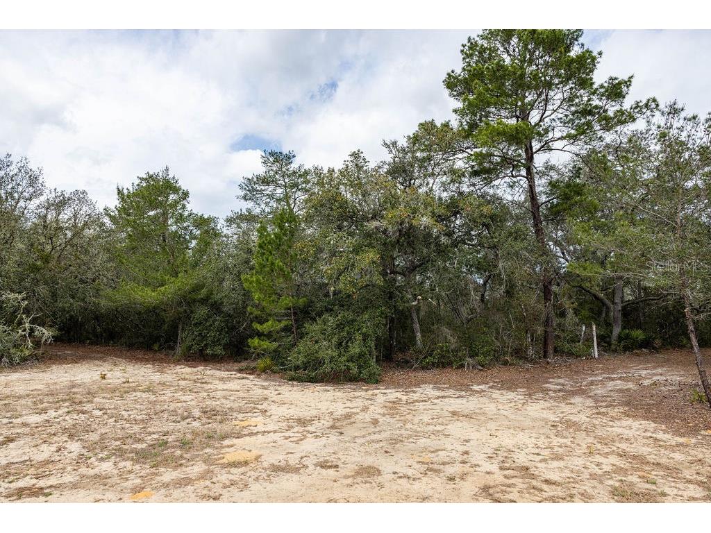 Forest 02 Road Umatilla FL 32784 - NICATOON G5109487 image37