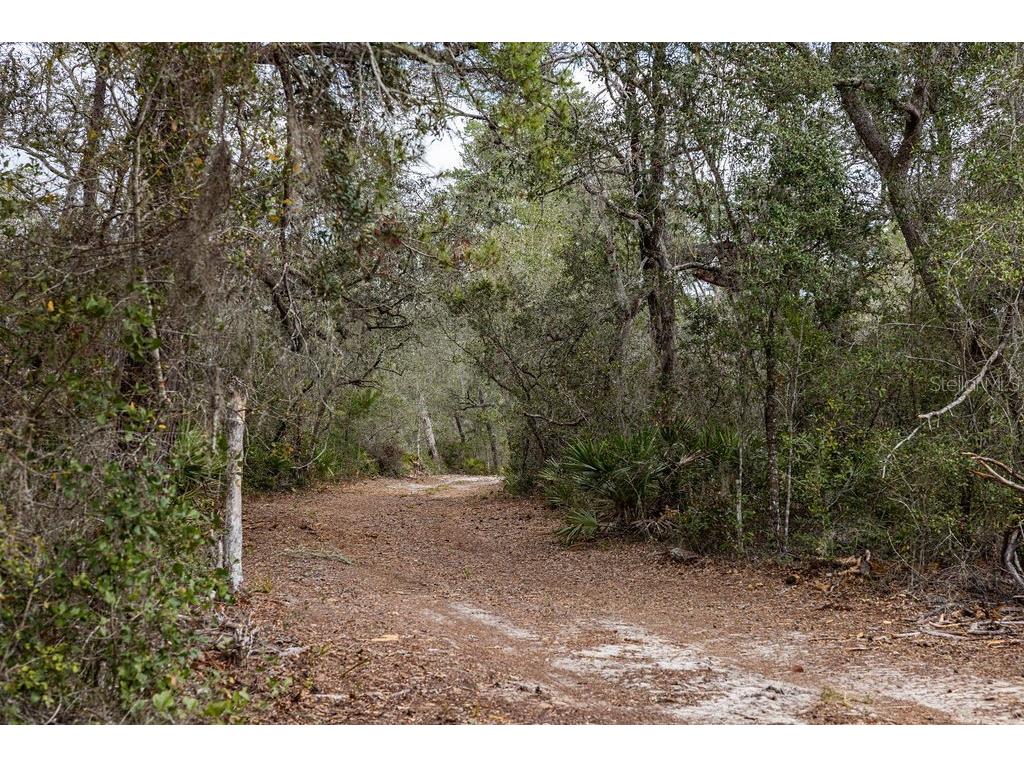 Forest 02 Road Umatilla FL 32784 - NICATOON G5109487 image38