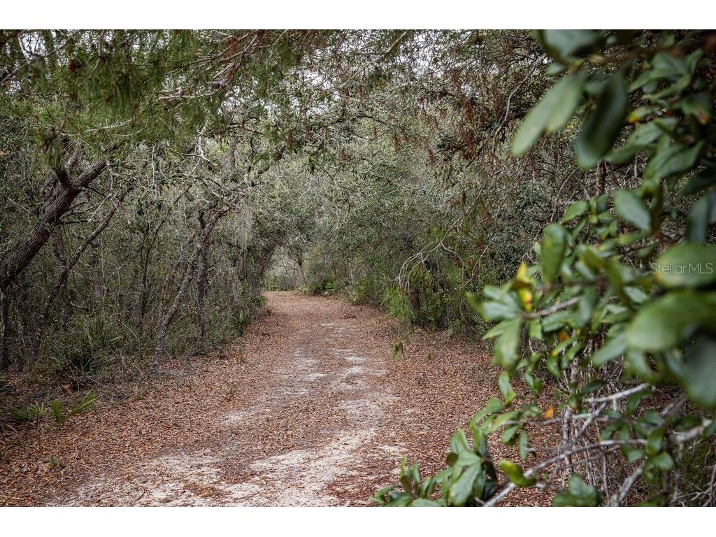 Forest 02 Road Umatilla FL 32784 - NICATOON G5109487 image39