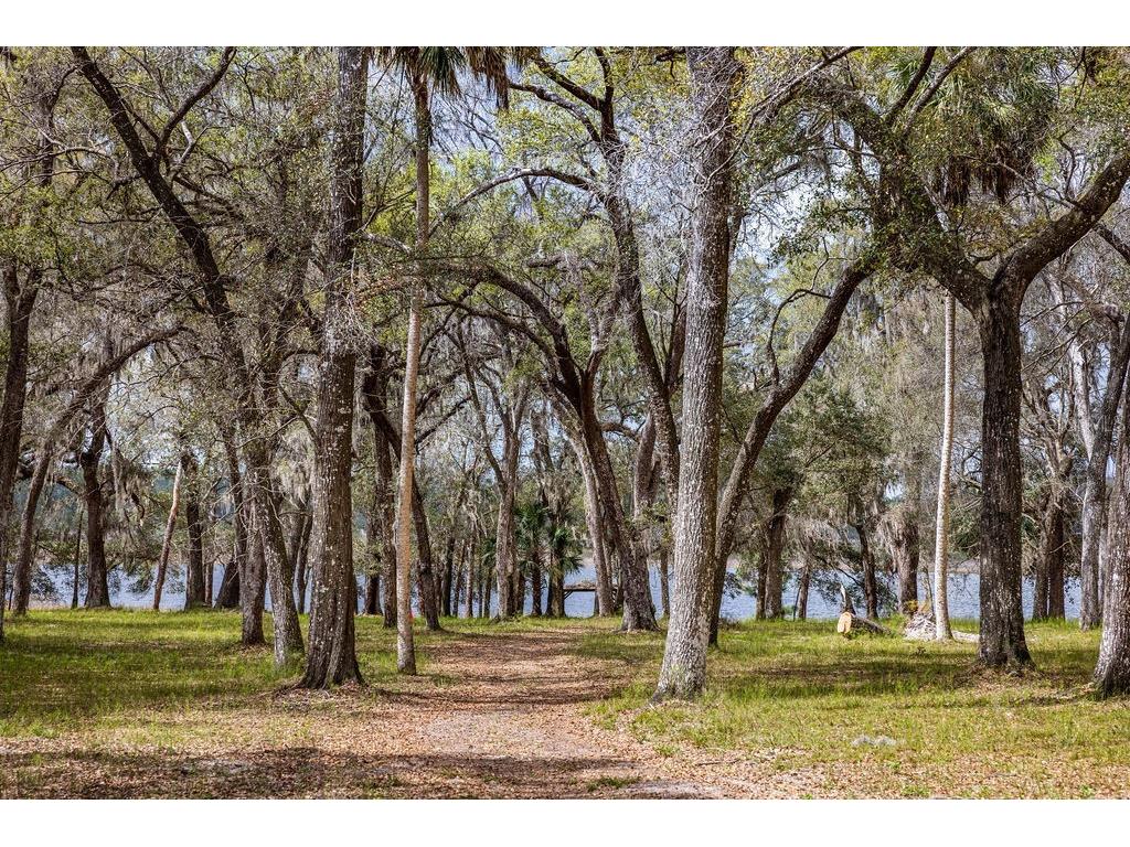 Forest 02 Road Umatilla FL 32784 - NICATOON G5109487 image4