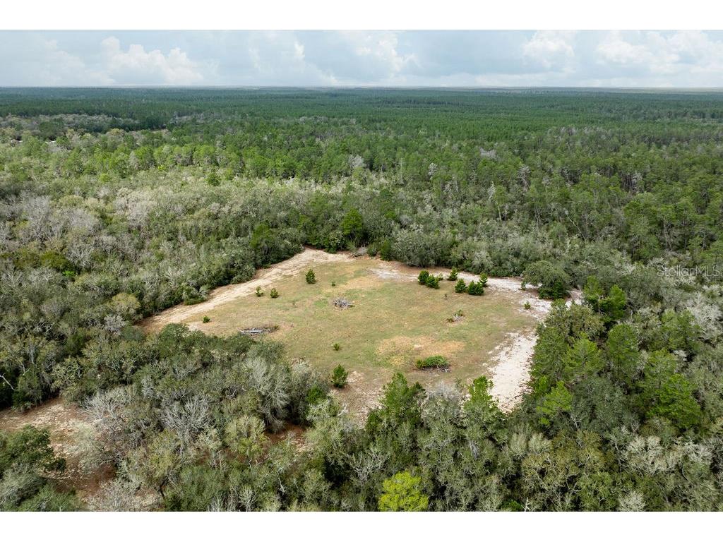 Forest 02 Road Umatilla FL 32784 - NICATOON G5109487 image40
