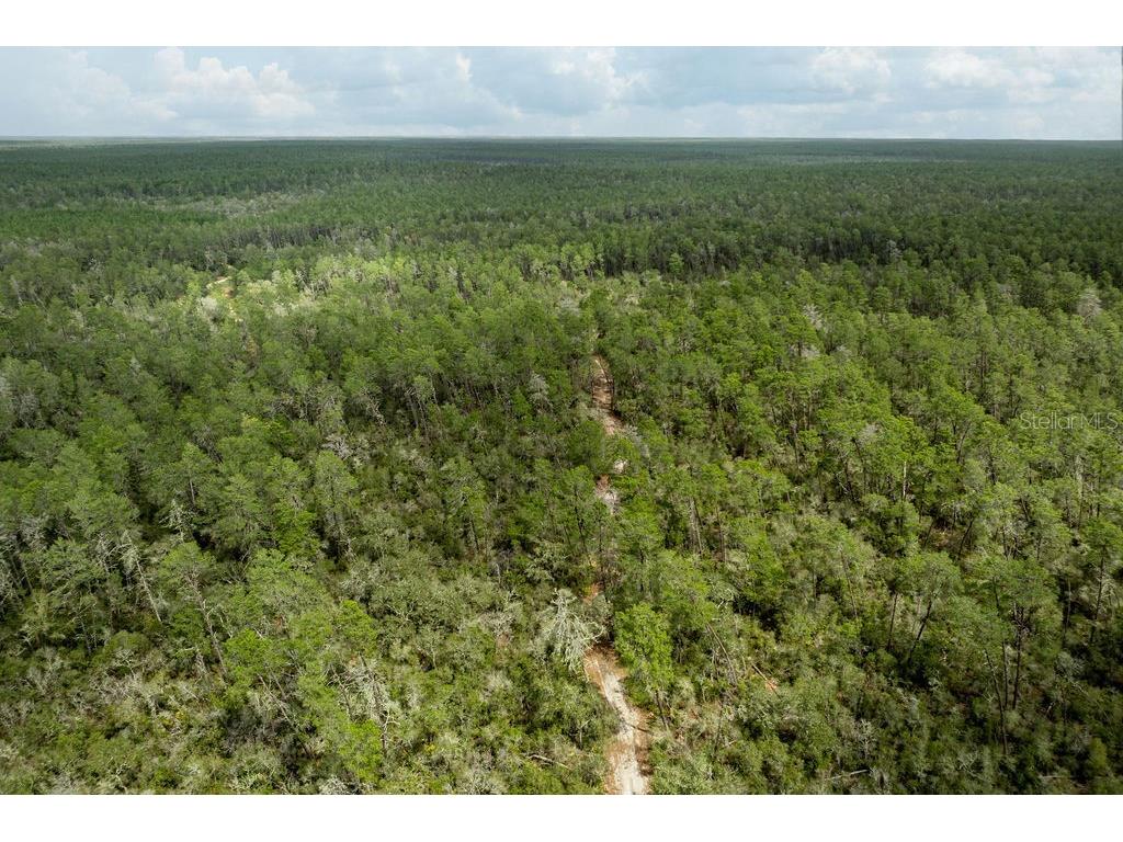 Forest 02 Road Umatilla FL 32784 - NICATOON G5109487 image41