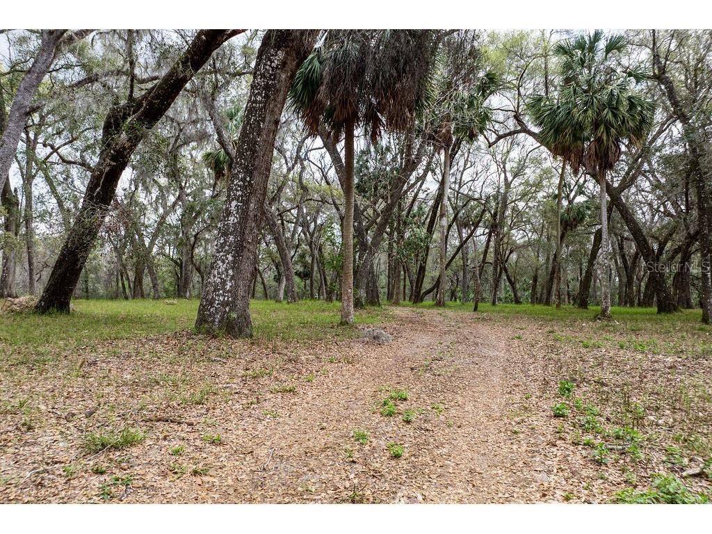 Forest 02 Road Umatilla FL 32784 - NICATOON G5109487 image50