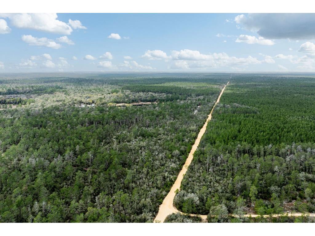 Forest 02 Road Umatilla FL 32784 - NICATOON G5109487 image53