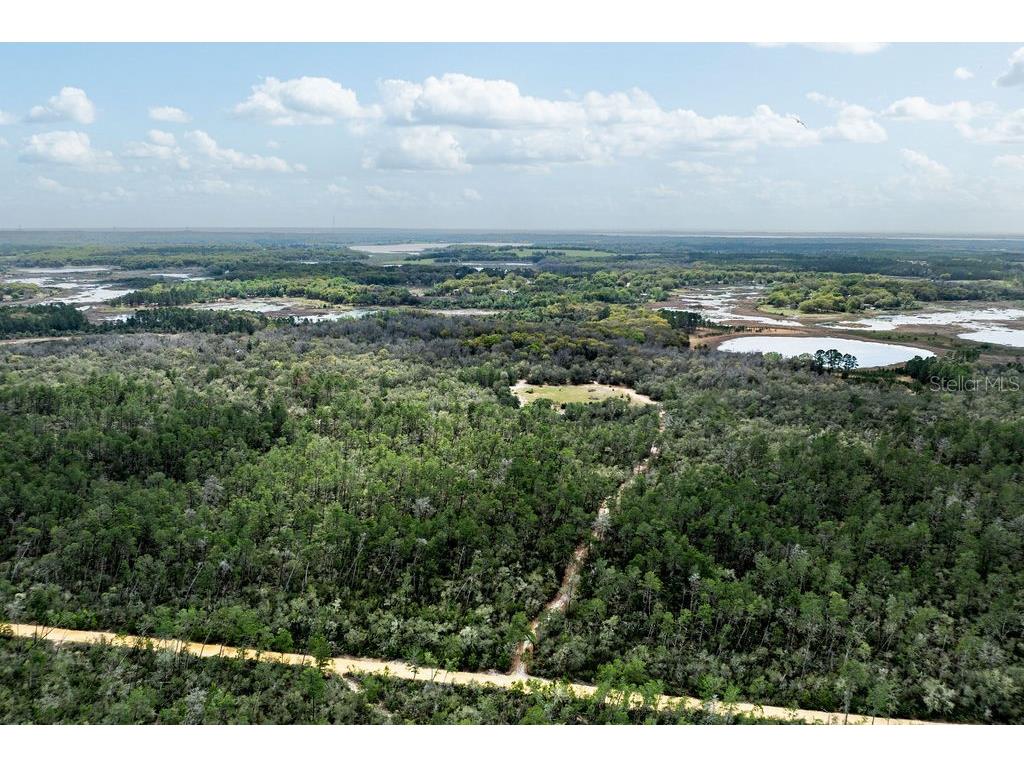 Forest 02 Road Umatilla FL 32784 - NICATOON G5109487 image54