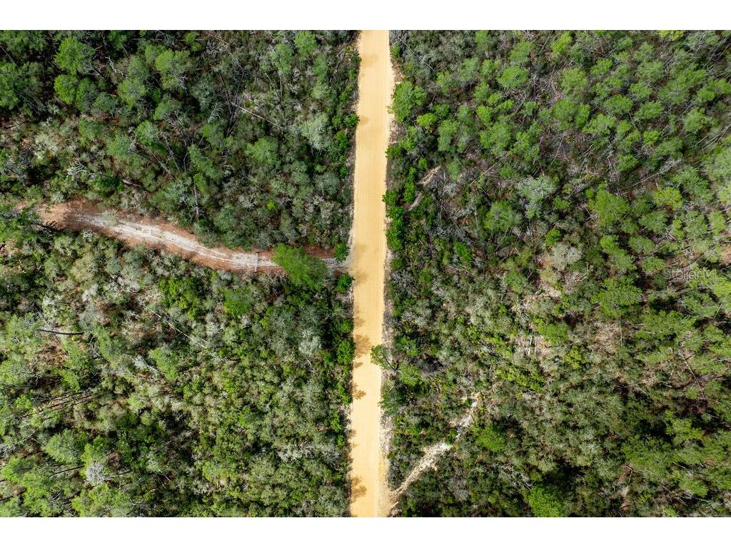 Forest 02 Road Umatilla FL 32784 - NICATOON G5109487 image57