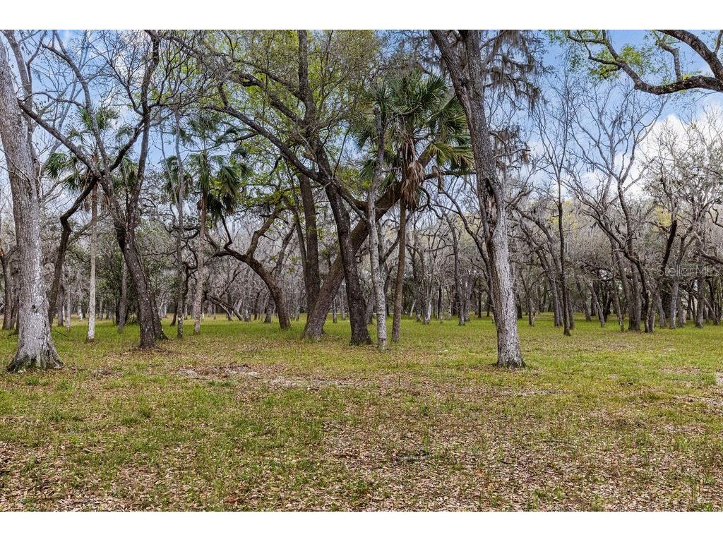 Forest 02 Road Umatilla FL 32784 - NICATOON G5109487 image59