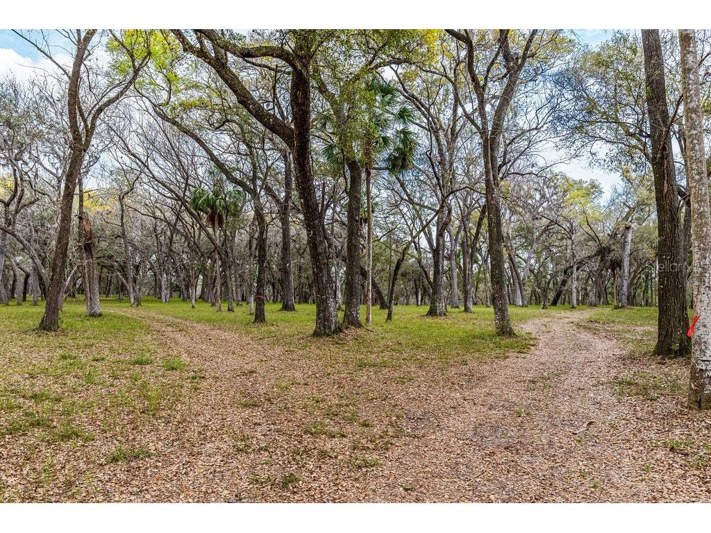 Forest 02 Road Umatilla FL 32784 - NICATOON G5109487 image61