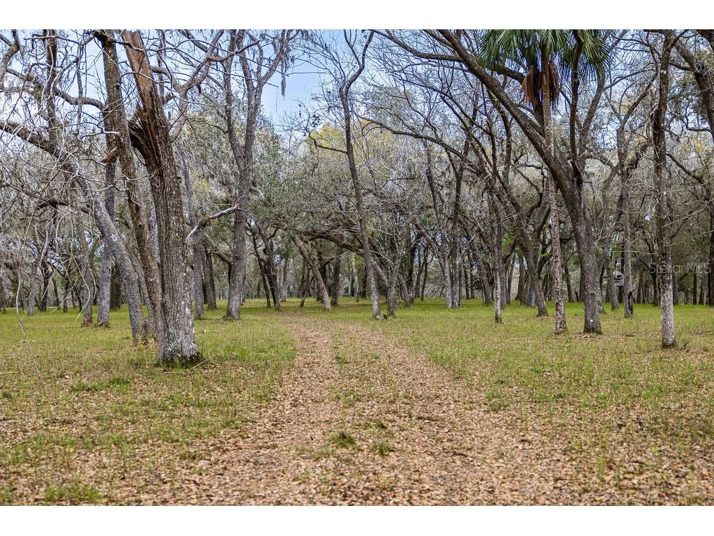 Forest 02 Road Umatilla FL 32784 - NICATOON G5109487 image62