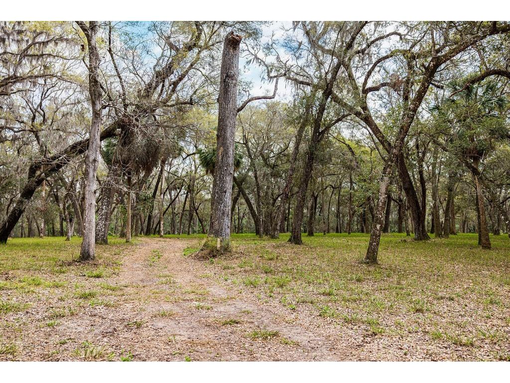 Forest 02 Road Umatilla FL 32784 - NICATOON G5109487 image63