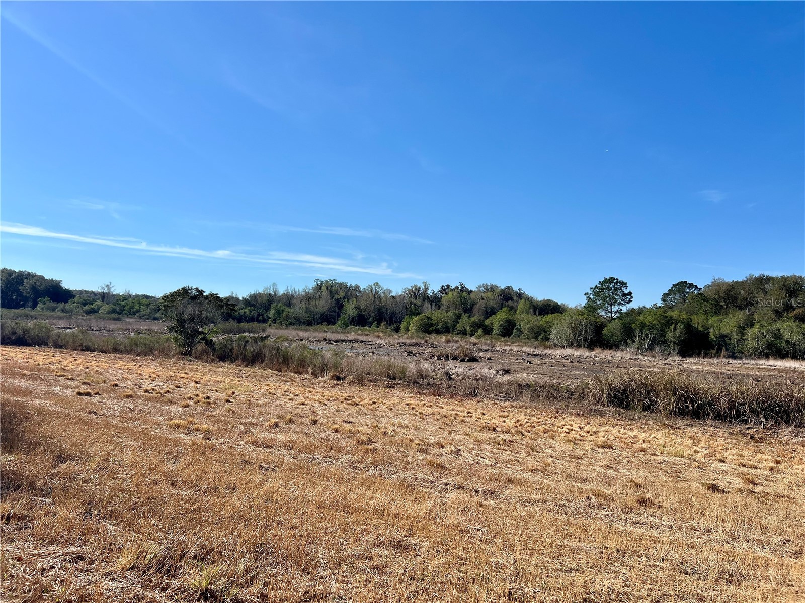 Forest 02 Road Umatilla FL 32784 - NICATOON G5109487 image9