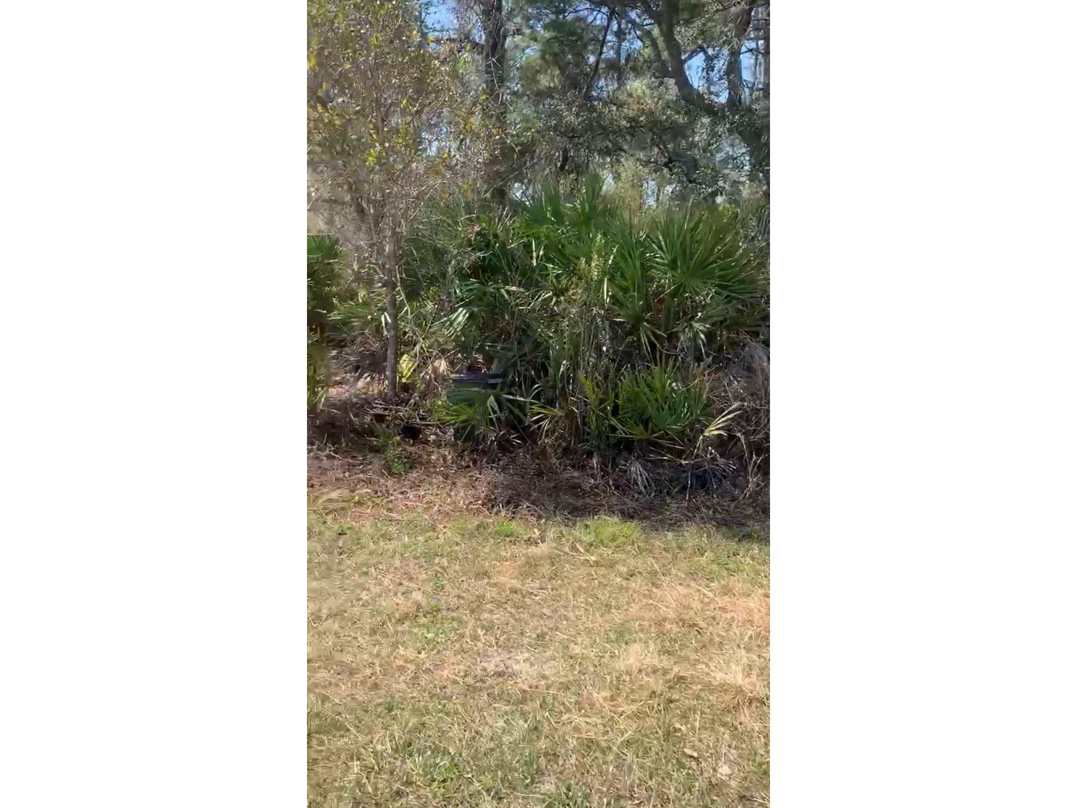 Forest Campsites Altoona FL 32702 G5107257 image1