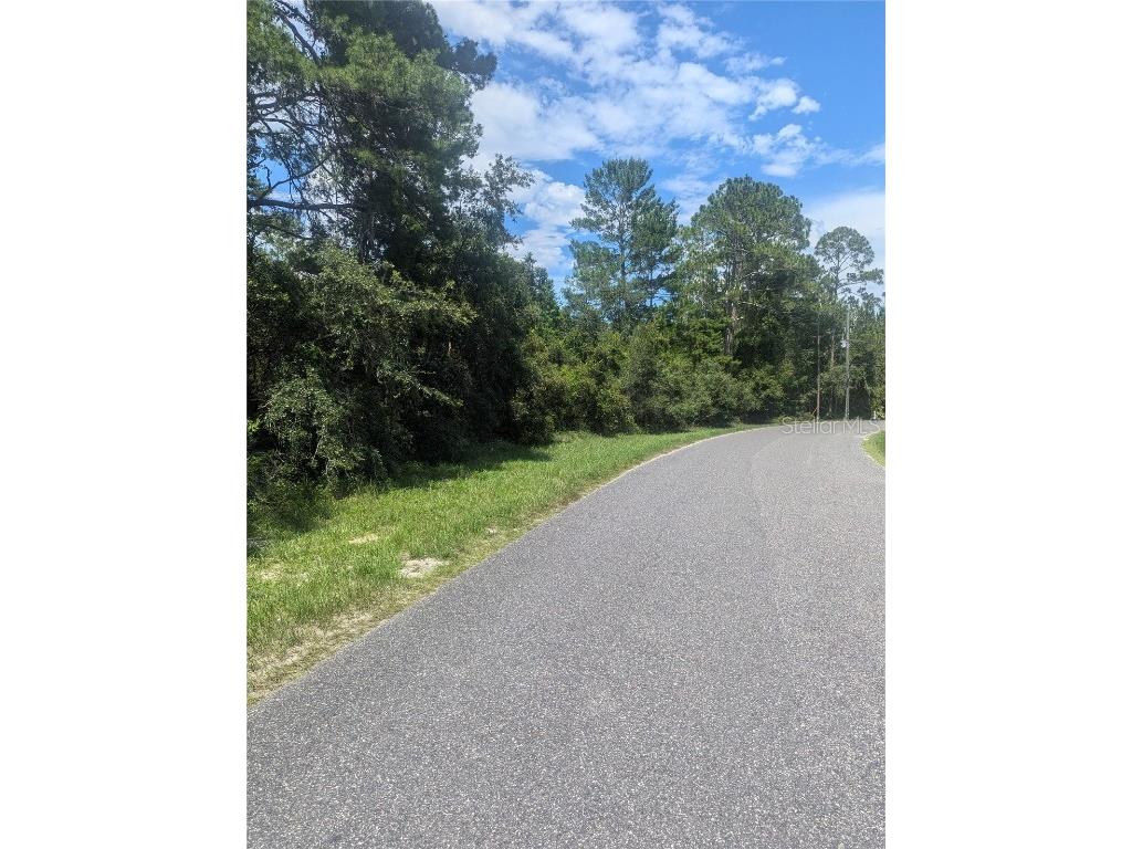 Forest Drive Eustis FL 32736 V4937038 image1