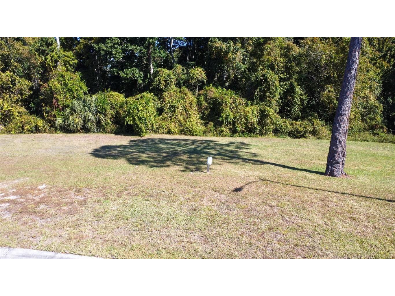 Forest Glenn Drive Spring Hill FL 34607 W7881230 image1