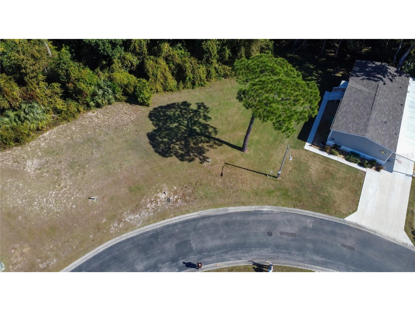 Forest Glenn Drive Spring Hill FL 34607 W7881230 image2