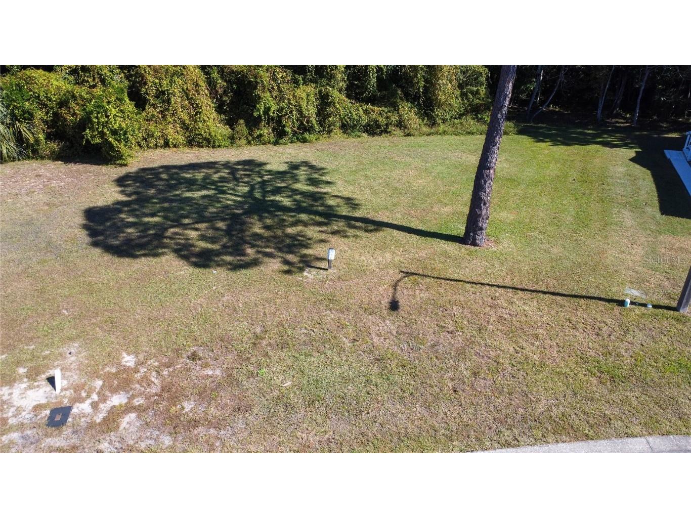 Forest Glenn Drive Spring Hill FL 34607 W7881230 image3