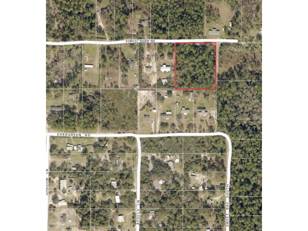 Forest Ridge Road Deland FL 32720 V4932803 image1