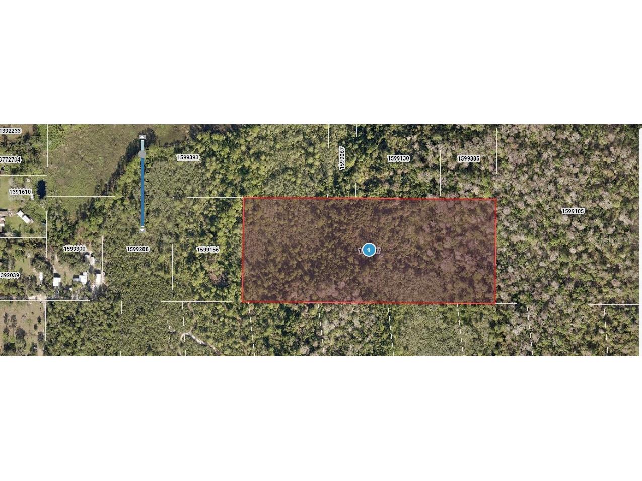 Forest View Road Deland FL 32720 OM706037 image2