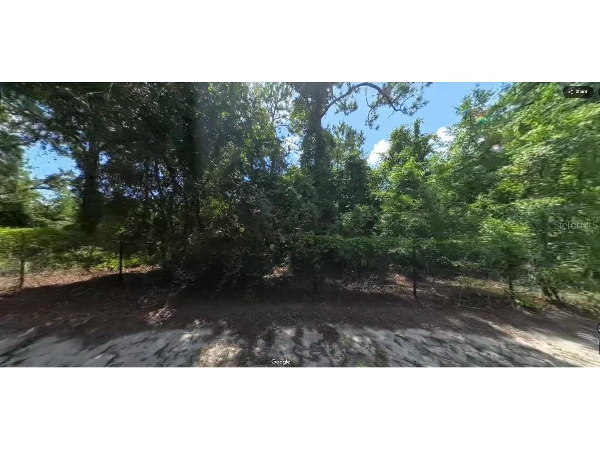 Forge Drive Spring Hill FL 34610 O6194700 image3