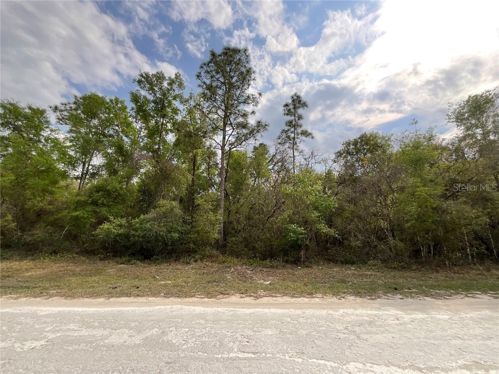 Forge Drive Webster FL 33597 G5094728 image1