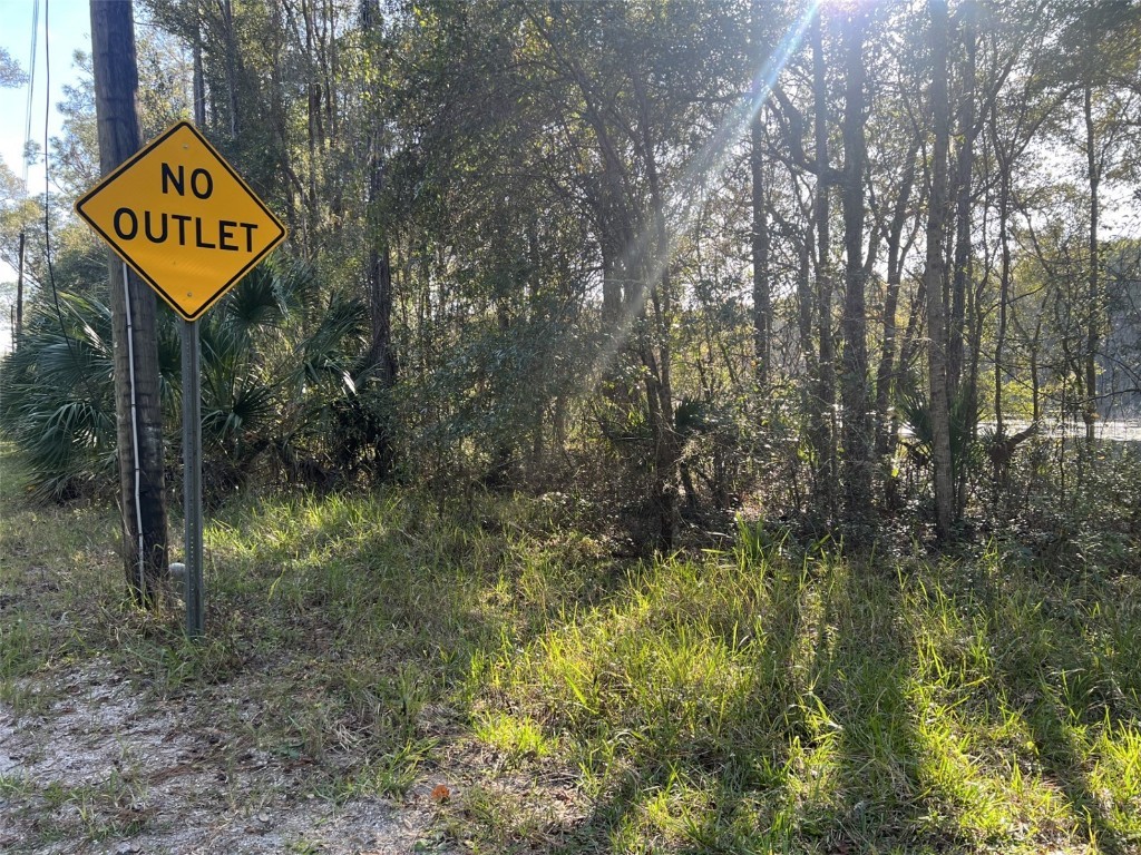Forsythe Lake Helen FL 32744 O6275775 image1