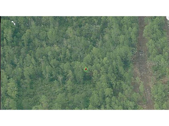 Fort Christmas Road Orlando FL 32820 O6244658 image3