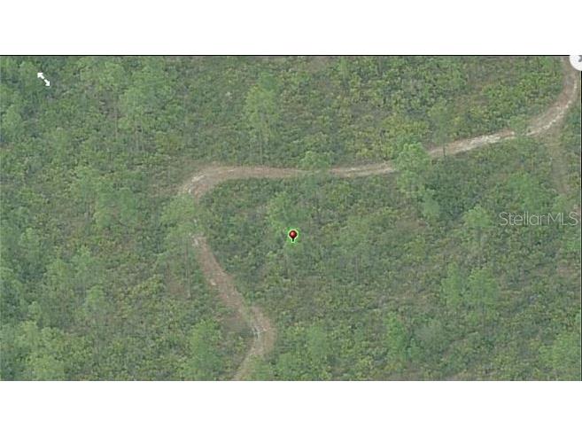 Fort Christmas Road Orlando FL 32820 O6244659 image3