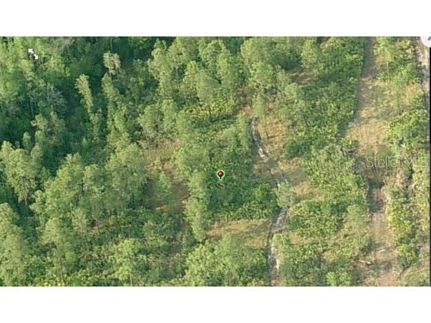 Fort Christmas Road Orlando FL 32820 O6244660 image3