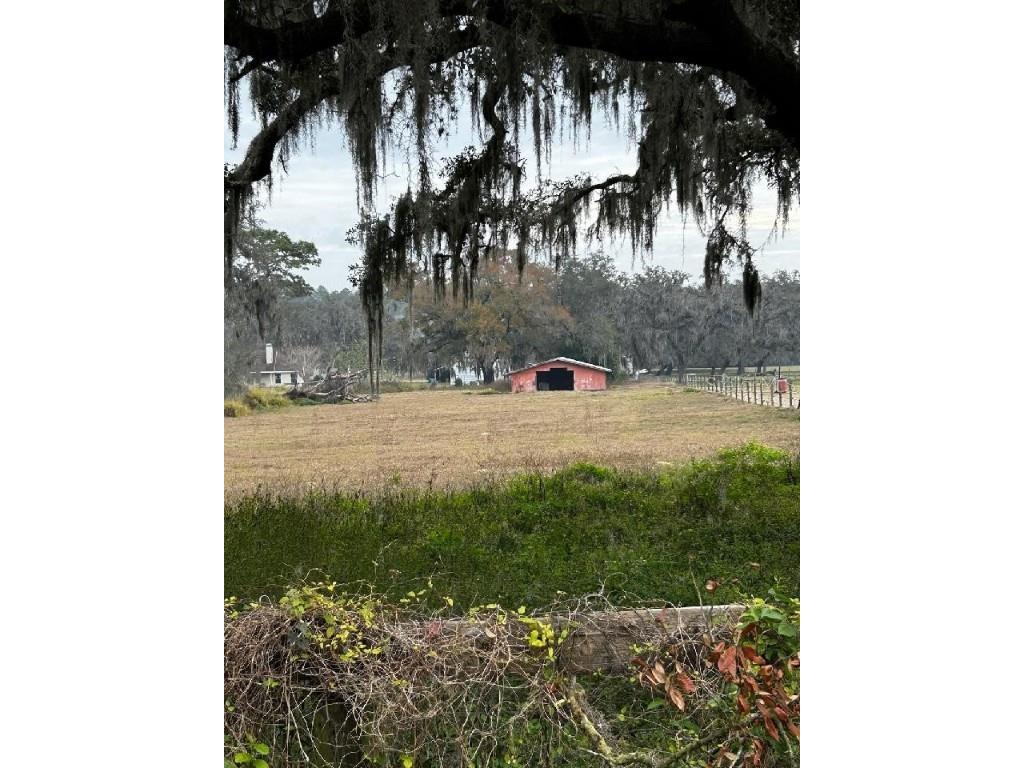 Fort King Road Lot 11 Zephyrhills FL 33541 T3505396 image1