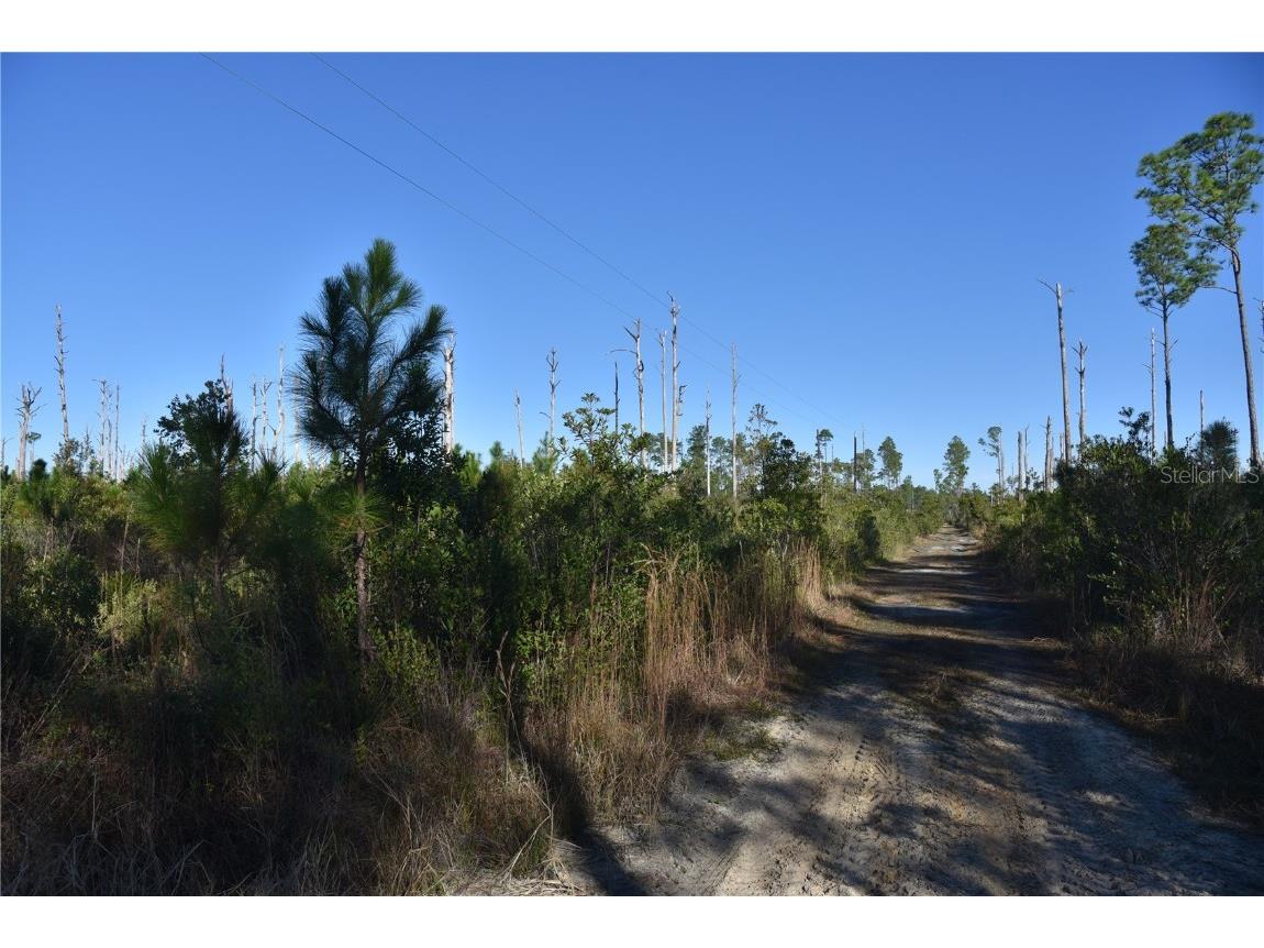  Fort Mc Coy FL 32134 OM651433 image1