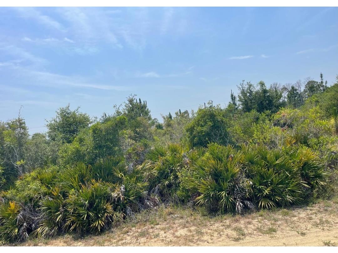 Fort Myers Drive Indian Lake Estates FL 33855 S5104619 image1