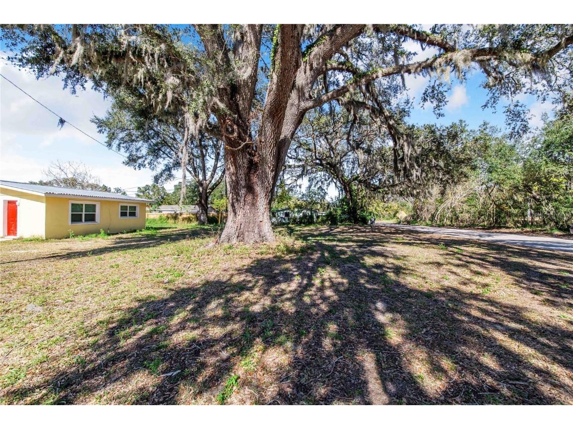 Fouse Avenue Dundee FL 33838 P4933484 image4