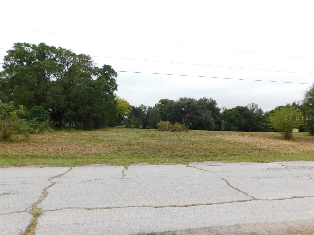 Fox Ridge Boulevard Zephyrhills FL 33543 T3487039 image1