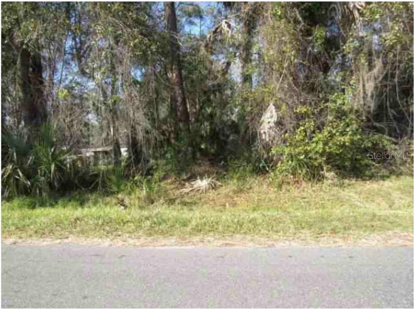 Fox Road Astor FL 32102 V4928824 image1